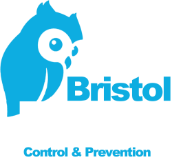Get rid of pests Bristol and North Somerset